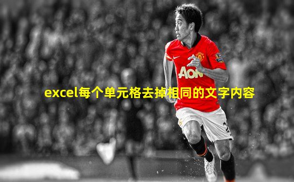 excel每个单元格去掉相同的文字内容