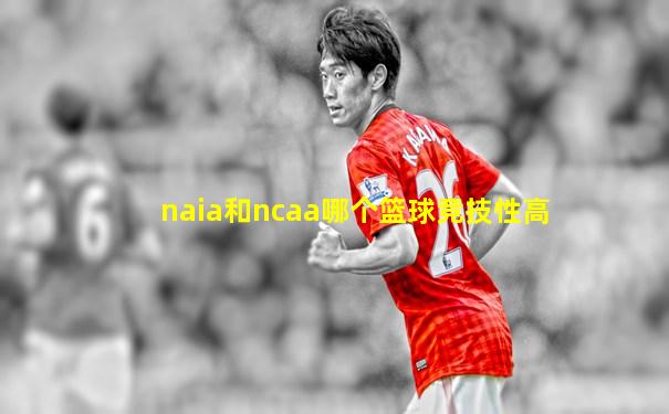 naia和ncaa哪个篮球竞技性高