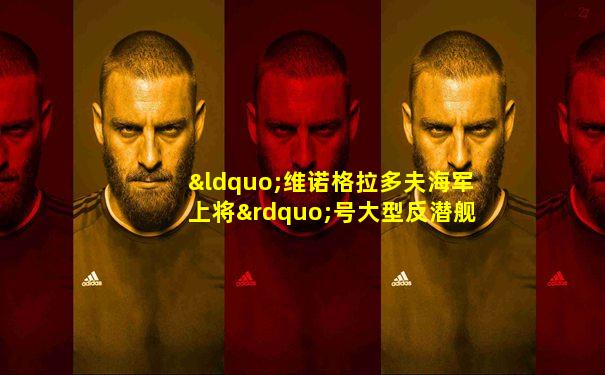 “维诺格拉多夫海军上将”号大型反潜舰