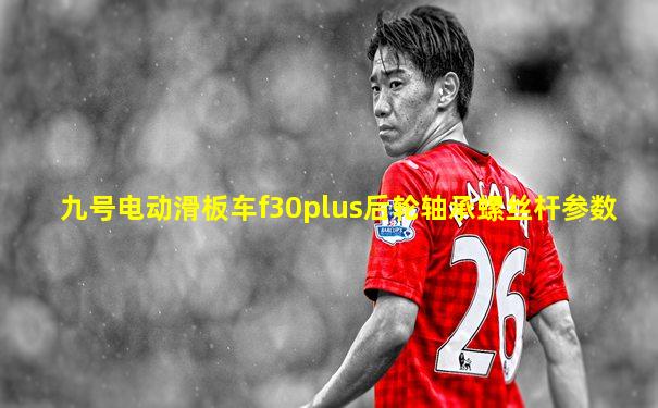九号电动滑板车f30plus后轮轴承螺丝杆参数