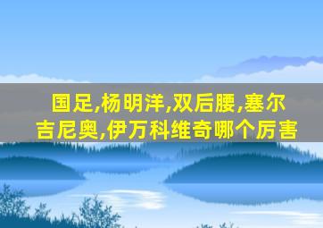国足,杨明洋,双后腰,塞尔吉尼奥,伊万科维奇哪个厉害