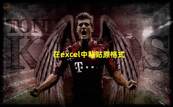 在excel中粘贴原格式