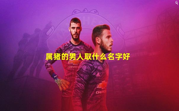 属猪的男人取什么名字好