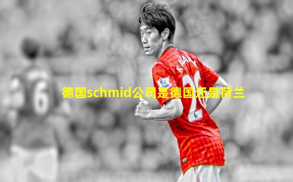 德国schmid公司是德国还是荷兰