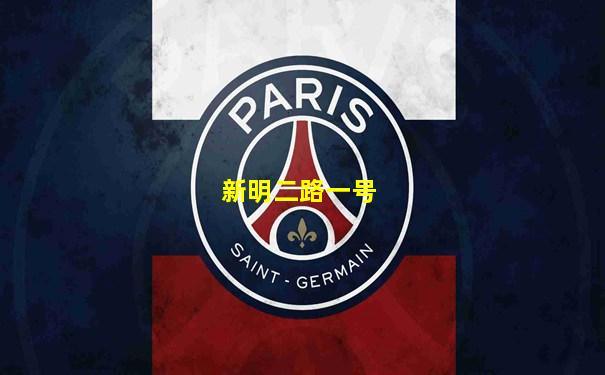 新明二路一号
