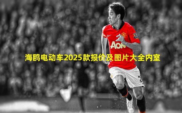 海鸥电动车2025款报价及图片大全内室