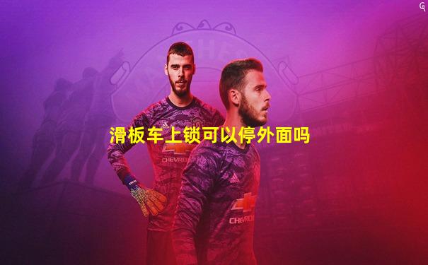 滑板车上锁可以停外面吗