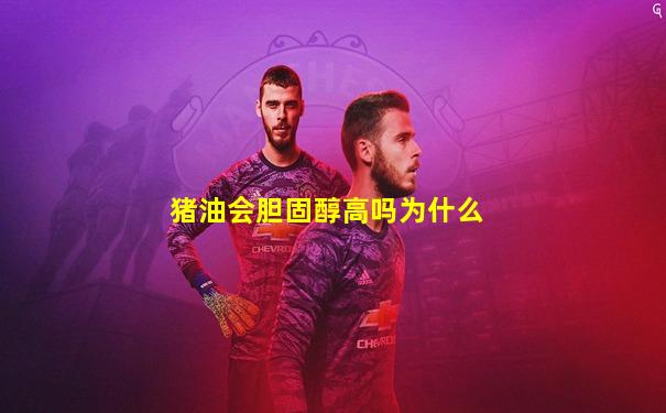 猪油会胆固醇高吗为什么