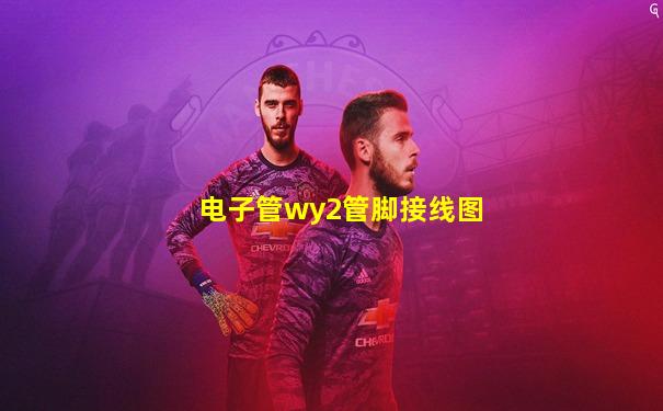 电子管wy2管脚接线图
