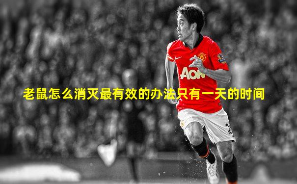 老鼠怎么消灭最有效的办法只有一天的时间