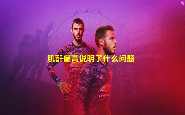 肌酐偏高说明了什么问题