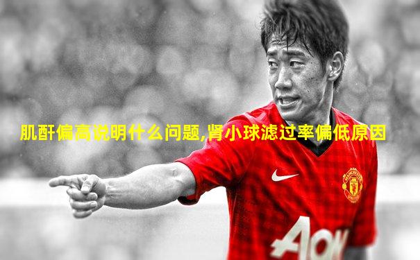 肌酐偏高说明什么问题,肾小球滤过率偏低原因
