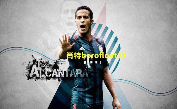 肖特borofloat33