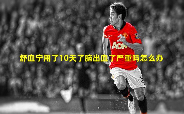 舒血宁用了10天了脑出血了严重吗怎么办