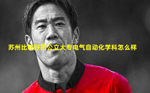 苏州比较好的公立大专电气自动化学科怎么样