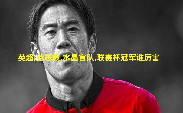 英超,范志毅,水晶宫队,联赛杯冠军谁厉害