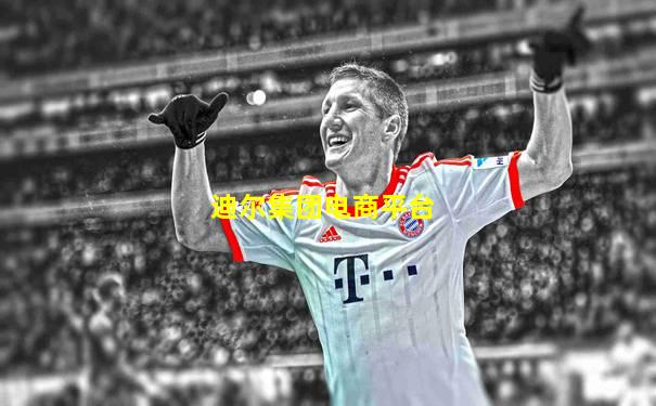 迪尔集团电商平台
