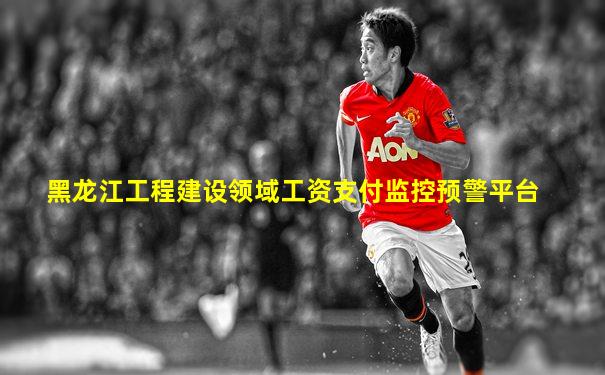黑龙江工程建设领域工资支付监控预警平台