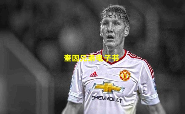 奎因兄弟电子书
