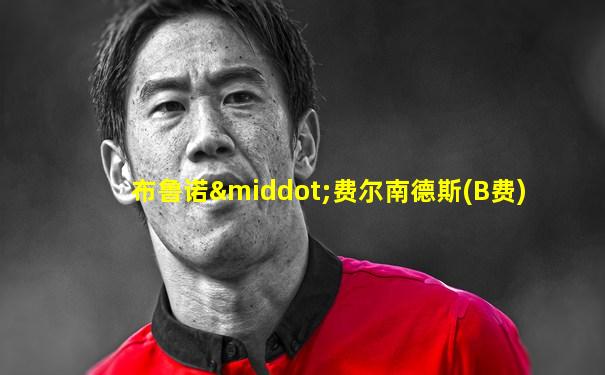 布鲁诺·费尔南德斯(B费)